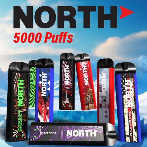 North 10ML 5000 Puffs 550mAh Prefilled Nicotine Salt Rechargeable Disposable Vape Device With Mesh Coil & E-liquid & Battery Indicator - Display of 10