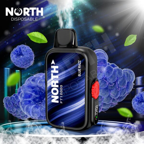 North FT 12000 Puffs Disposable Vape